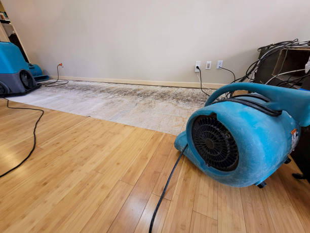 Professional Water Damage Repair technician working in Baldwin Park, CA